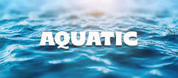 Aquatic Notes Collection